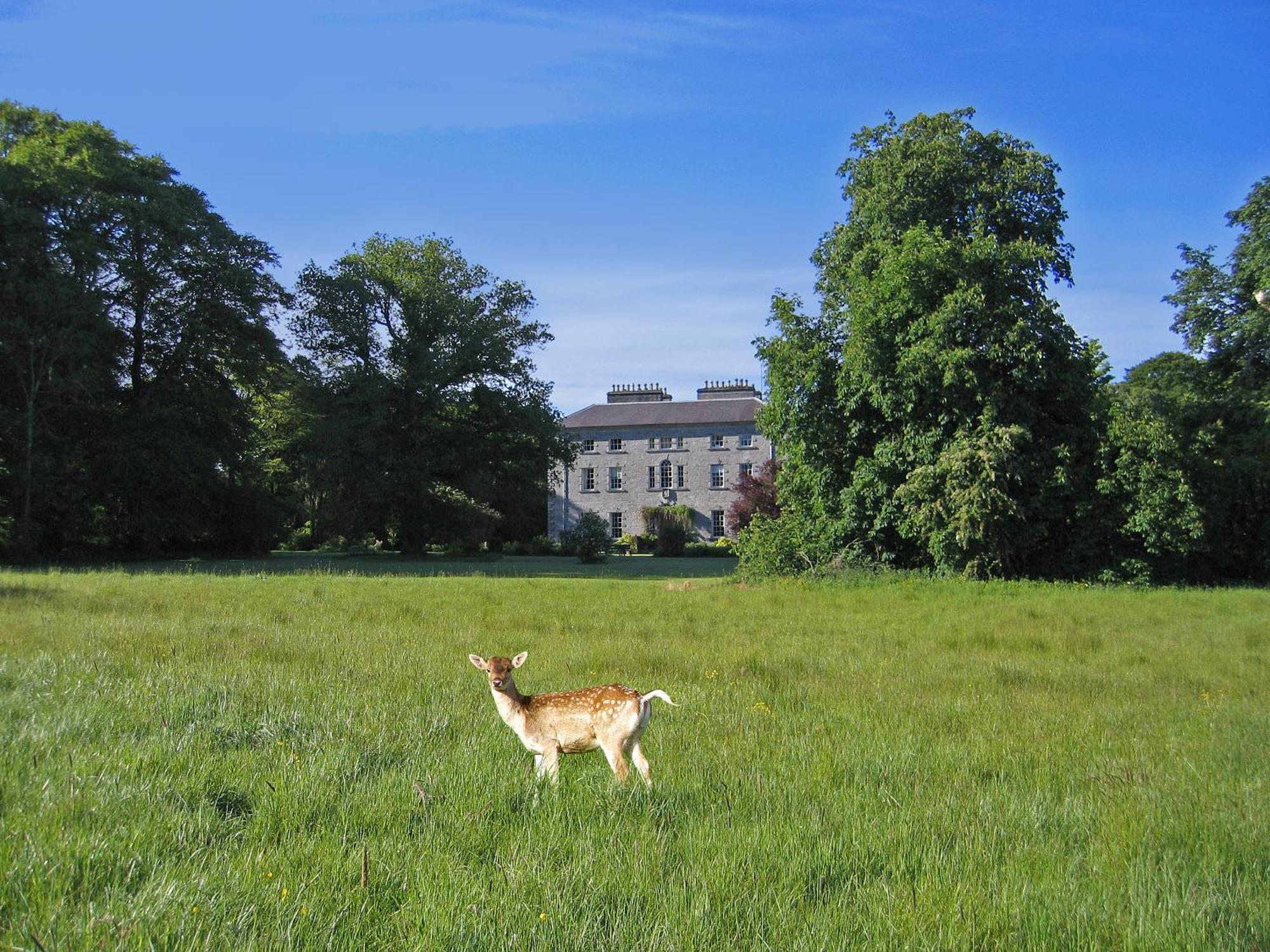 Coopershill House Hotel Riverstown  Exterior photo