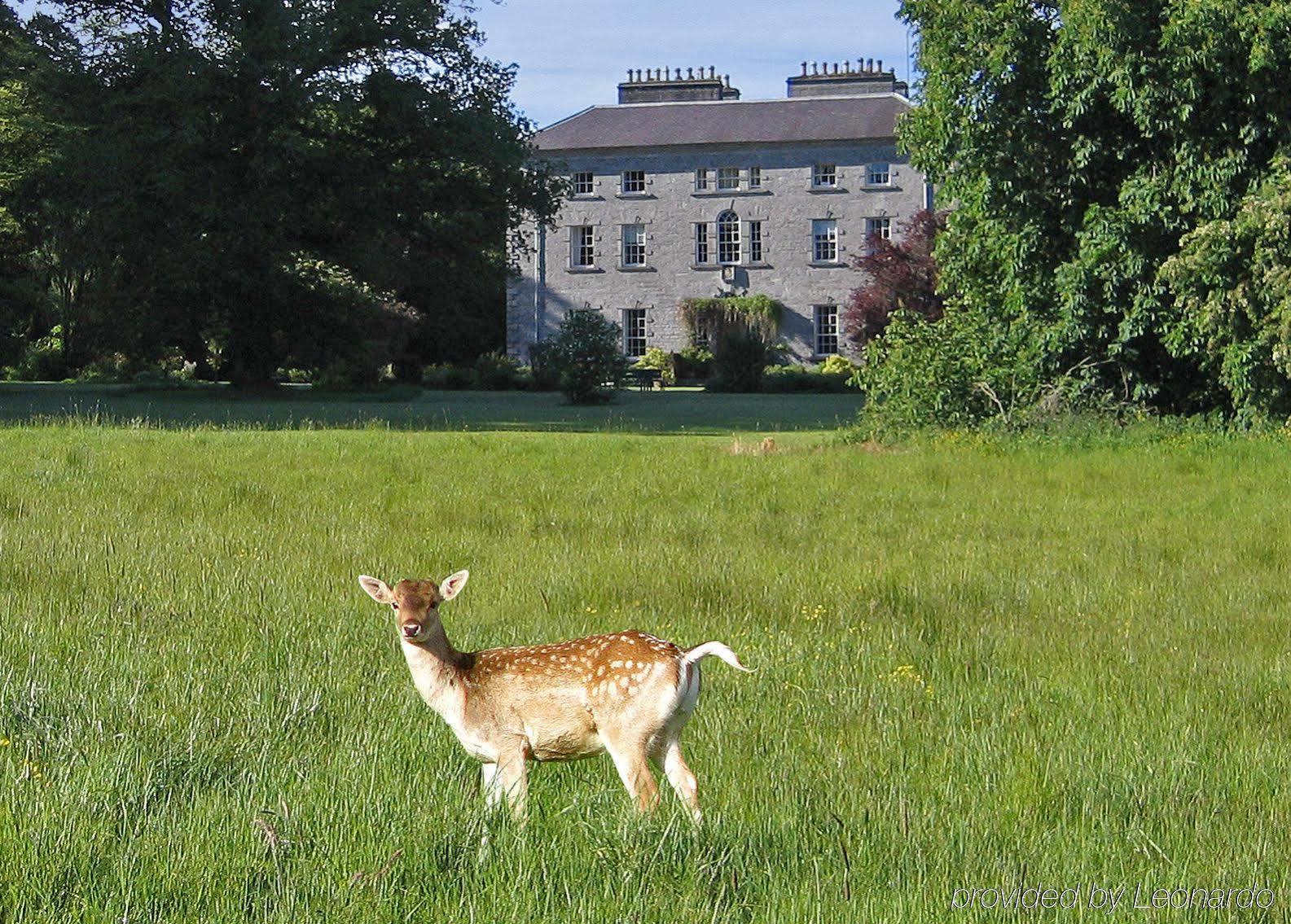Coopershill House Hotel Riverstown  Exterior photo